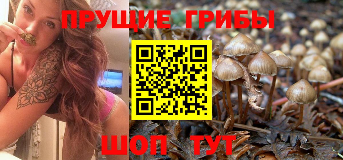 Псилоцибиновые грибы MAGIC MUSHROOMS Донской