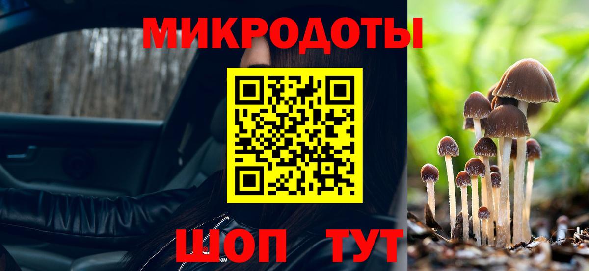 Донской  Псилоцибиновые грибы Cubensis  Вход с VPN  наркотики  Псилоцибиновые грибы MAGIC MUSHROOMS 
